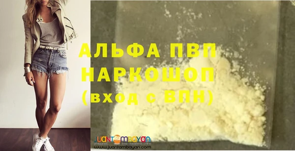 ПСИЛОЦИБИНОВЫЕ ГРИБЫ Абаза