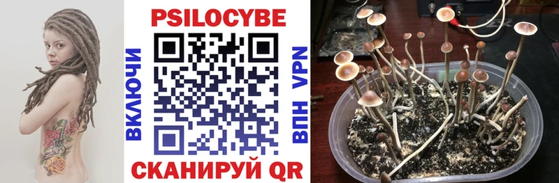 Галлюциногенные грибы Psilocybe  хочу наркоту  darknet какой сайт  Якутск 